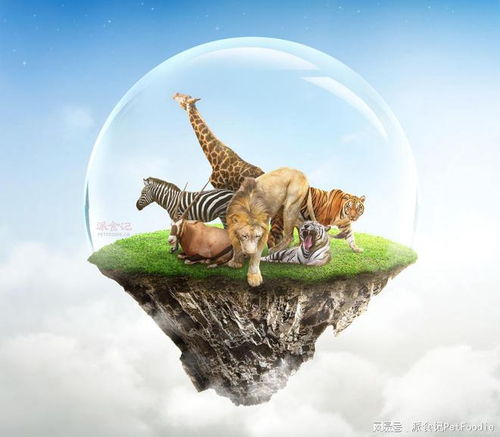 宠物食品品牌如何以公益性营销实现销售增长与品牌差异化