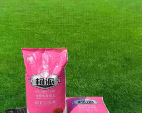 宠物食品产业链一站式解决方案 厂家直销与代加工服务