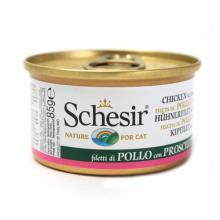 宠物食品销售 趋势、机遇与品牌制胜之道